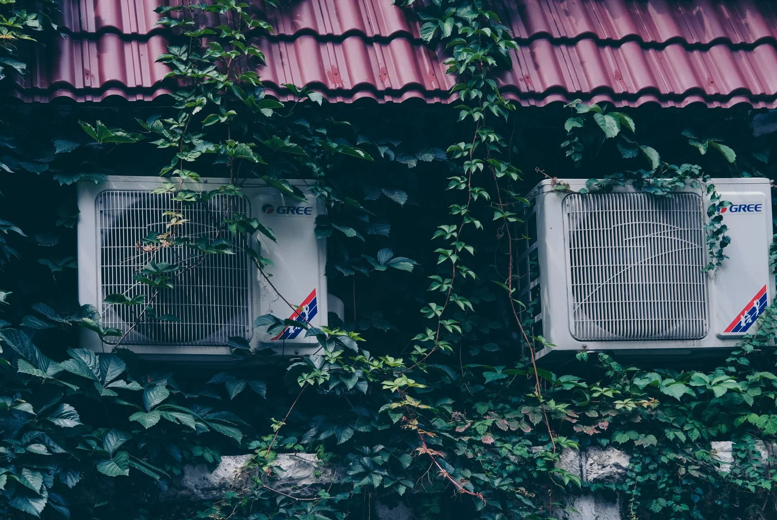 Two air conditioners on a wall covered with dense ivy vines under a tiled roof.